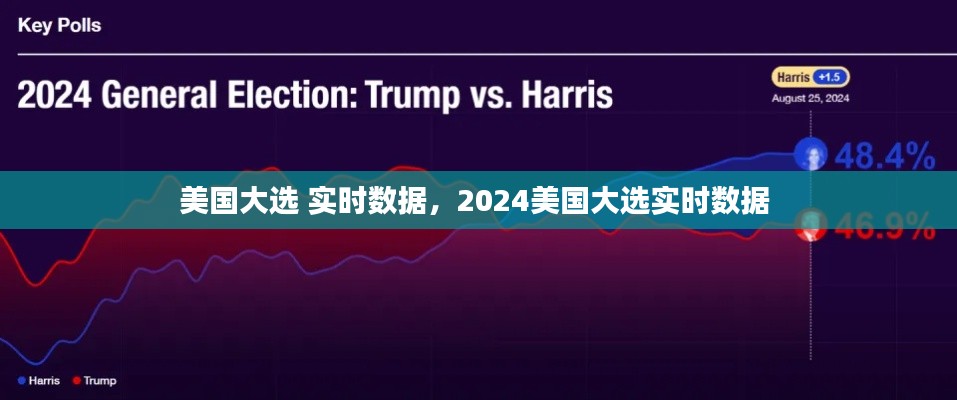 美国大选 实时数据，2024美国大选实时数据 