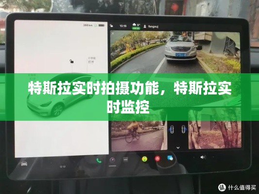 特斯拉实时拍摄功能,特斯拉实时监控