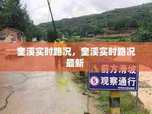 公司介绍 第315页