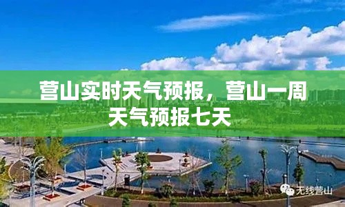 营山实时天气预报,营山一周天气预报七天