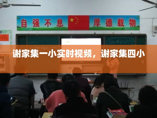 谢家集一小实时视频,谢家集四小