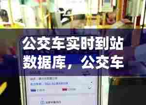 公交车实时到站数据库，公交车实时到站情况 