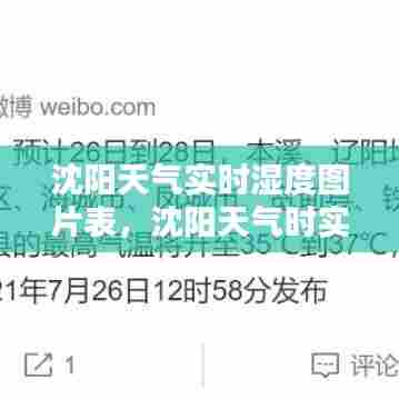沈阳天气实时湿度图片表，沈阳天气时实预报 