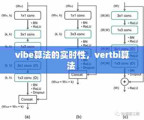 vibe算法的实时性,vertbi算法