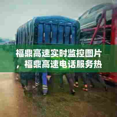 福鼎高速实时监控图片,福鼎高速电话服务热线