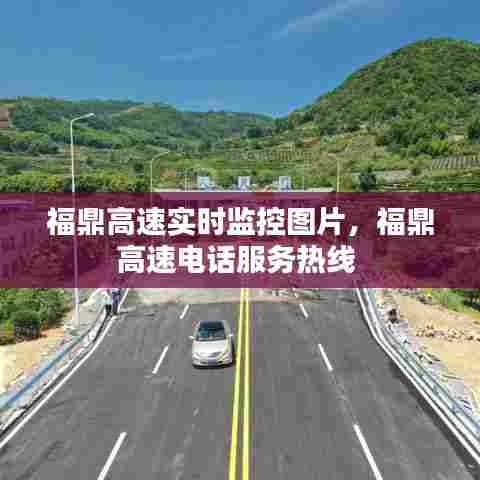 福鼎高速实时监控图片,福鼎高速电话服务热线
