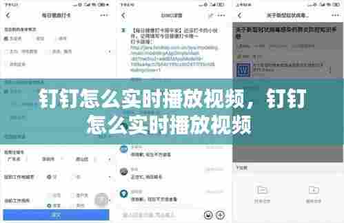 钉钉怎么实时播放视频,钉钉怎么实时播放视频