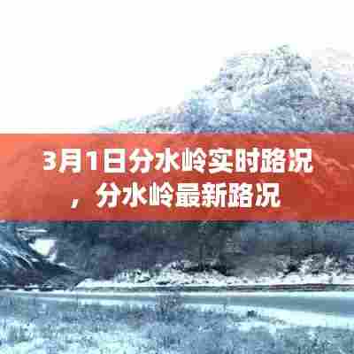 3月1日分水岭实时路况，分水岭最新路况 