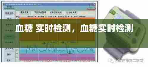 血糖 实时检测,血糖实时检测