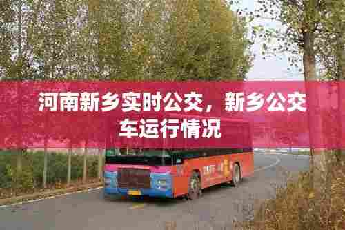 河南新乡实时公交，新乡公交车运行情况 