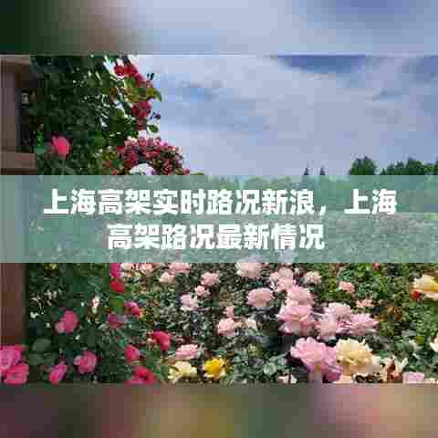上海高架实时路况新浪，上海高架路况最新情况 