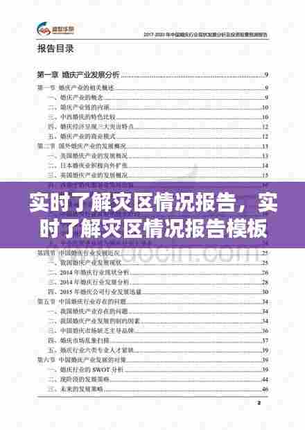 实时了解灾区情况报告，实时了解灾区情况报告模板 
