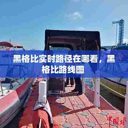 黑格比实时路径在哪看，黑格比路线图 
