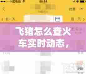 飞猪怎么查火车实时动态，飞猪怎么查询车次 