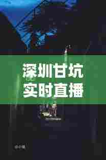 深圳甘坑实时直播,深圳甘坑几点关门