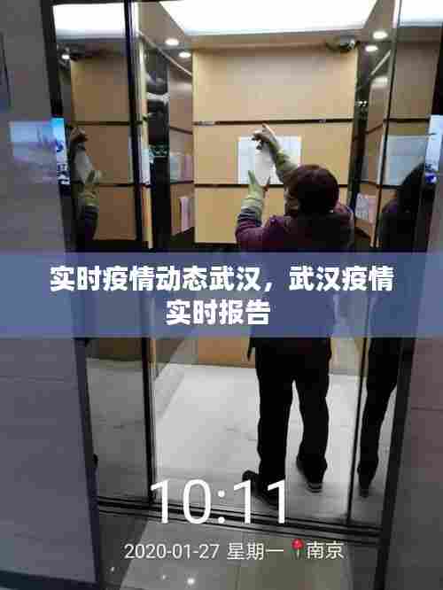 实时疫情动态武汉,武汉疫情实时报告