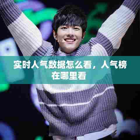 实时人气数据怎么看,人气榜在哪里看