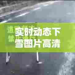 实时动态下雪图片高清,动态雪景图片大全下雪真实