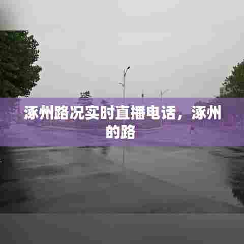 涿州路况实时直播电话，涿州的路 