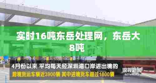 实时16吨东岳处理网,东岳大8吨