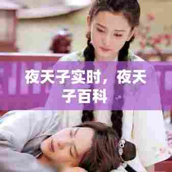 夜天子实时,夜天子百科