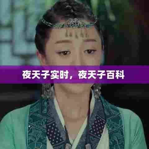 夜天子实时,夜天子百科