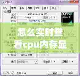 怎么实时查看cpu内存显卡ping,怎么看cpu显卡内存占用率