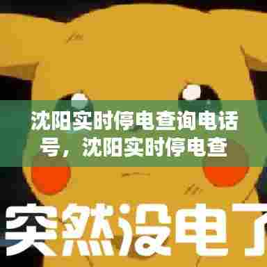 沈阳实时停电查询电话号,沈阳实时停电查询电话号是多少