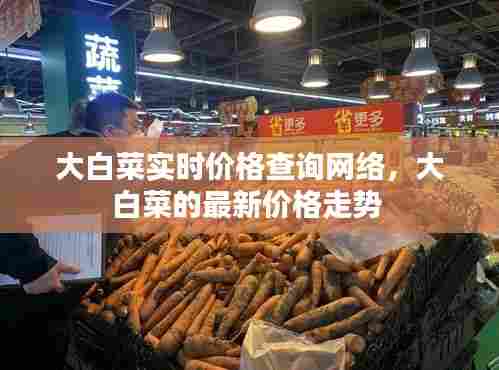 大白菜实时价格查询网络,大白菜的最新价格走势