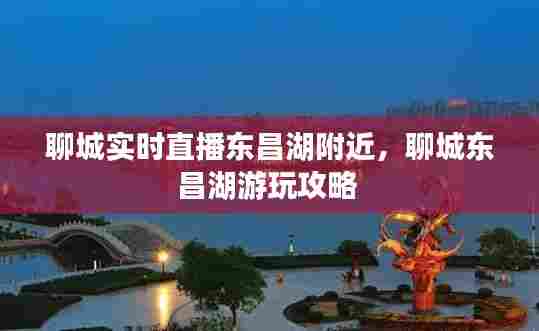 聊城实时直播东昌湖附近,聊城东昌湖游玩攻略