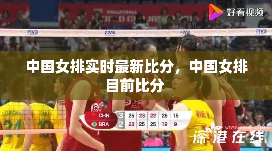 中国女排实时最新比分,中国女排目前比分