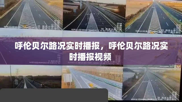 呼伦贝尔路况实时播报,呼伦贝尔路况实时播报视频