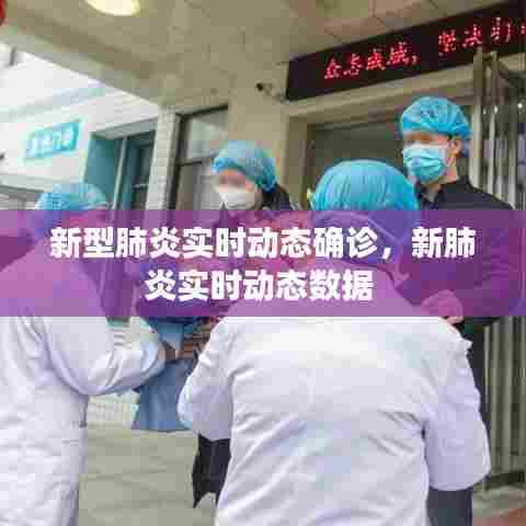 新型肺炎实时动态确诊,新肺炎实时动态数据