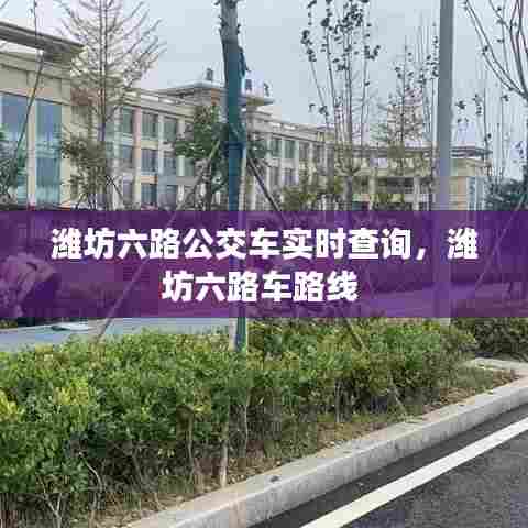 潍坊六路公交车实时查询，潍坊六路车路线 