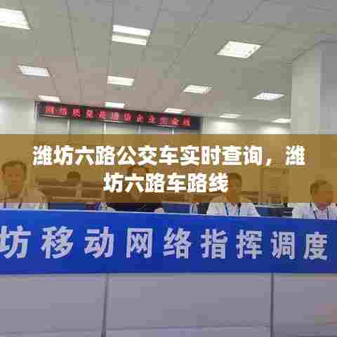 潍坊六路公交车实时查询,潍坊六路车路线