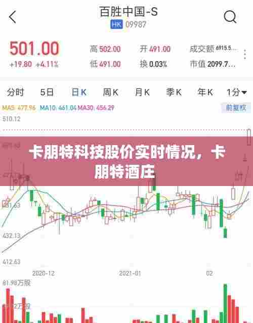 卡朋特科技股价实时情况,卡朋特酒庄