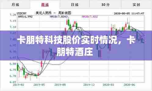卡朋特科技股价实时情况,卡朋特酒庄