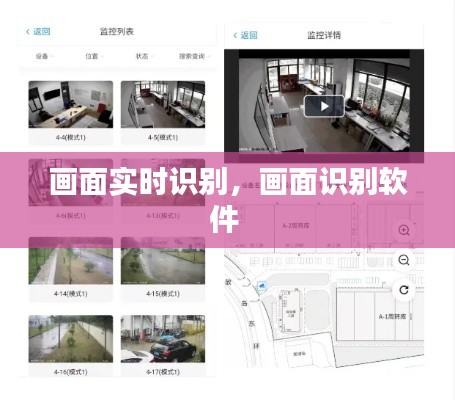画面实时识别,画面识别软件