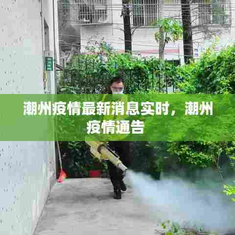 潮州疫情最新消息实时,潮州疫情通告