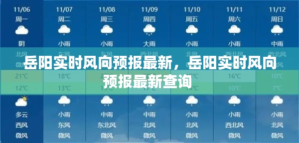 岳阳实时风向预报最新,岳阳实时风向预报最新查询