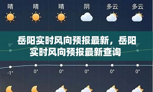 岳阳实时风向预报最新,岳阳实时风向预报最新查询