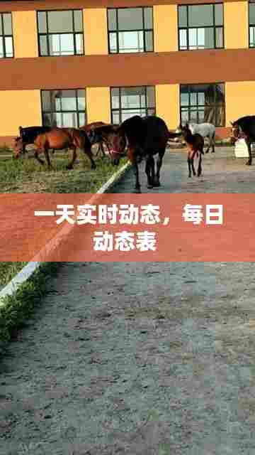 一天实时动态,每日动态表