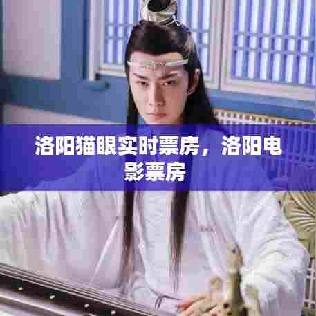 洛阳猫眼实时票房,洛阳电影票房