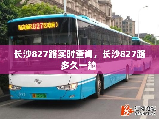长沙827路实时查询,长沙827路多久一趟