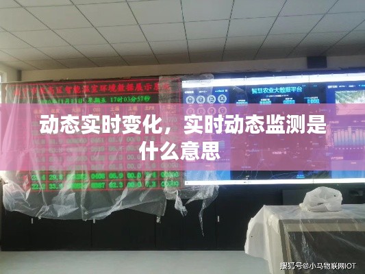 动态实时变化,实时动态监测是什么意思