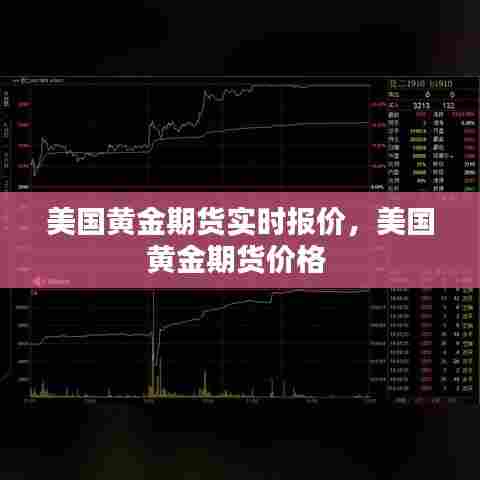 美国黄金期货实时报价，美国黄金期货价格 