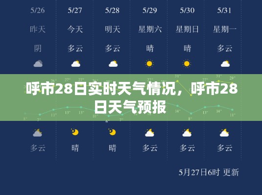 呼市28日实时天气情况,呼市28日天气预报