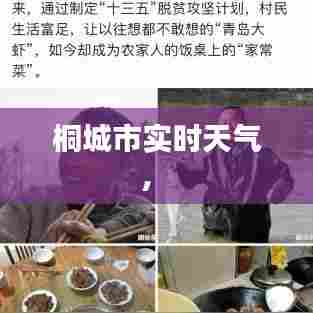 桐城市实时天气,