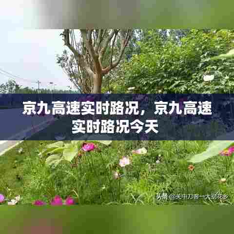 京九高速实时路况,京九高速实时路况今天