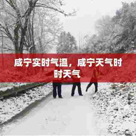 咸宁实时气温,咸宁天气时时天气